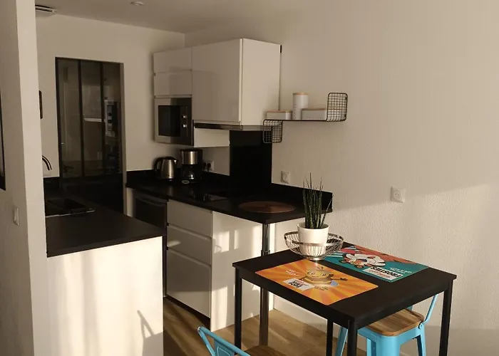 Cocon Living 아파트 툴루즈